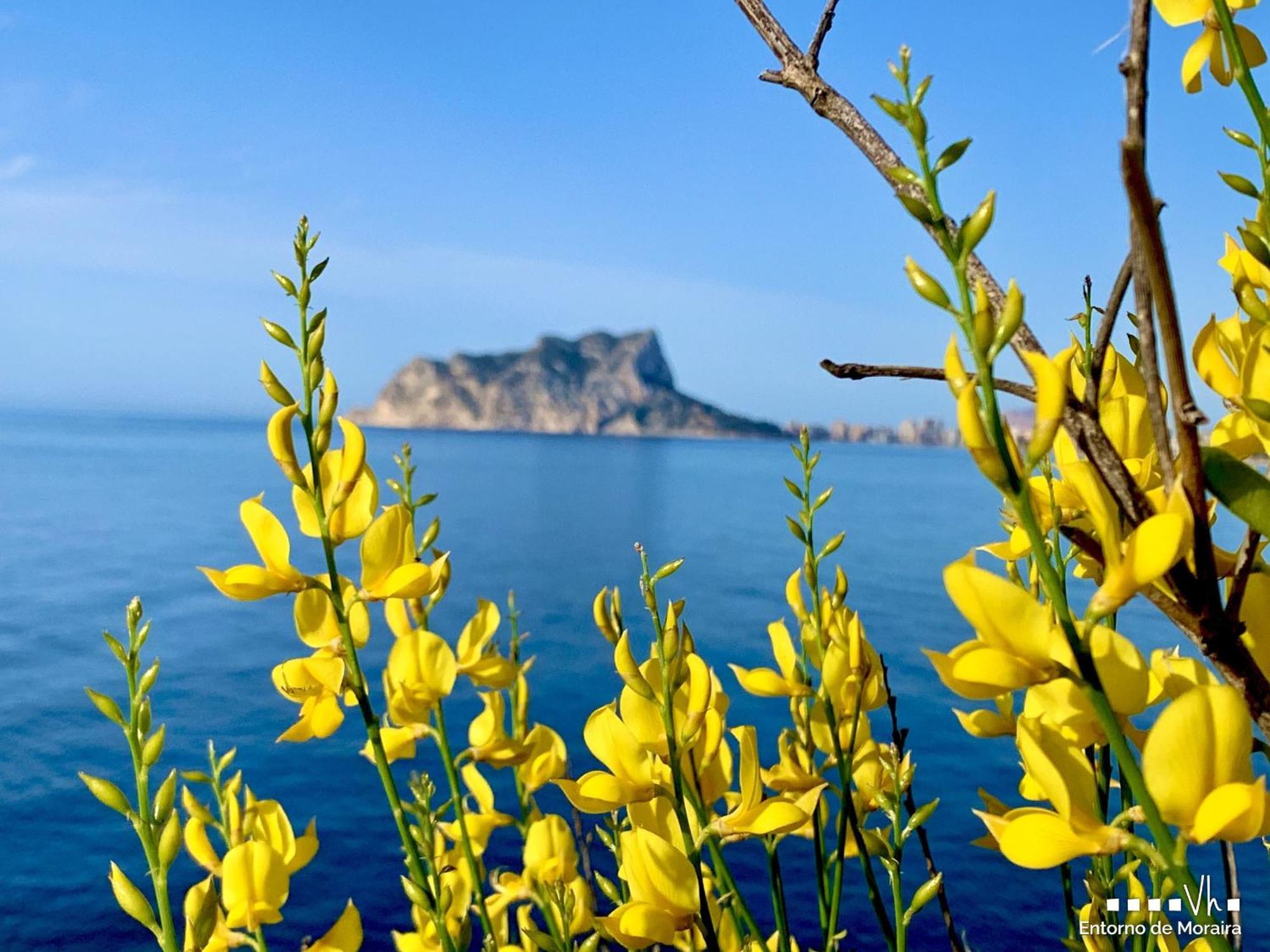 Vh Costablanca - Eva Villa Calpe Exteriör bild